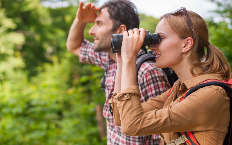 Birdwatching Techniques