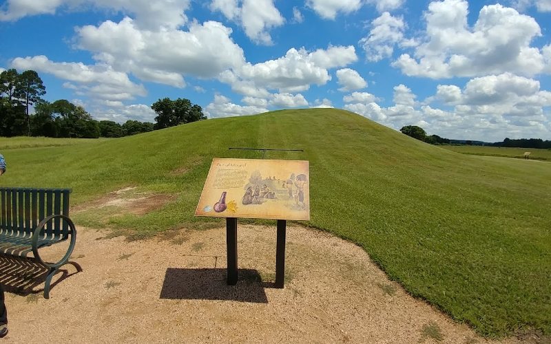 Educational Opportunities Surrounding Caddo Mounds