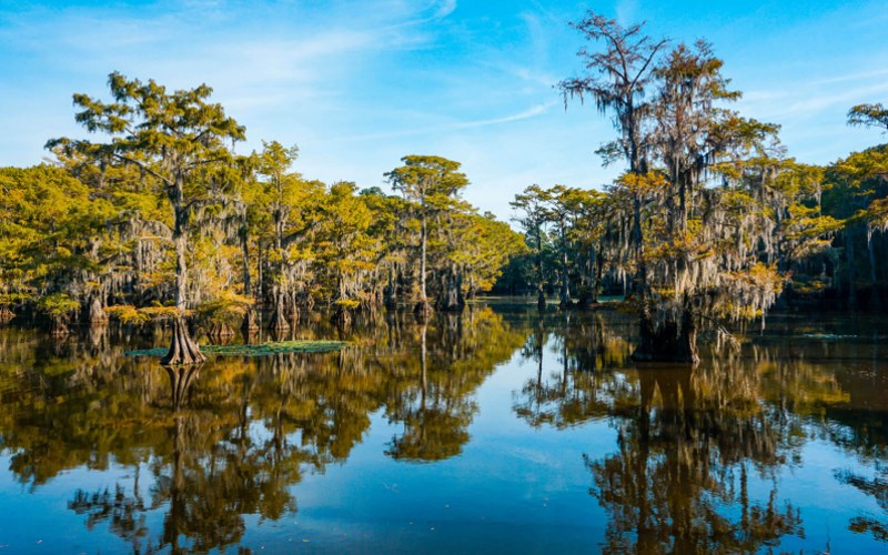 Exploring Local Attractions in Lake Tawakoni Caddoan Mounds State Historic Site