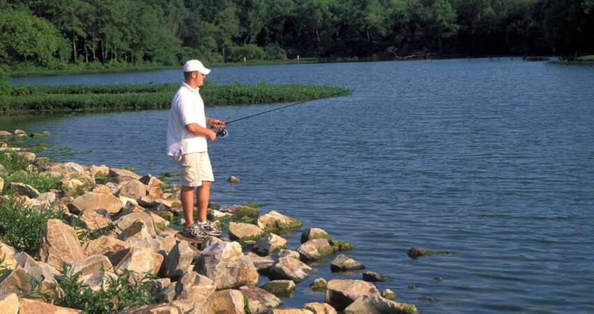 Outdoor Activities at Tranquil Lake Cove