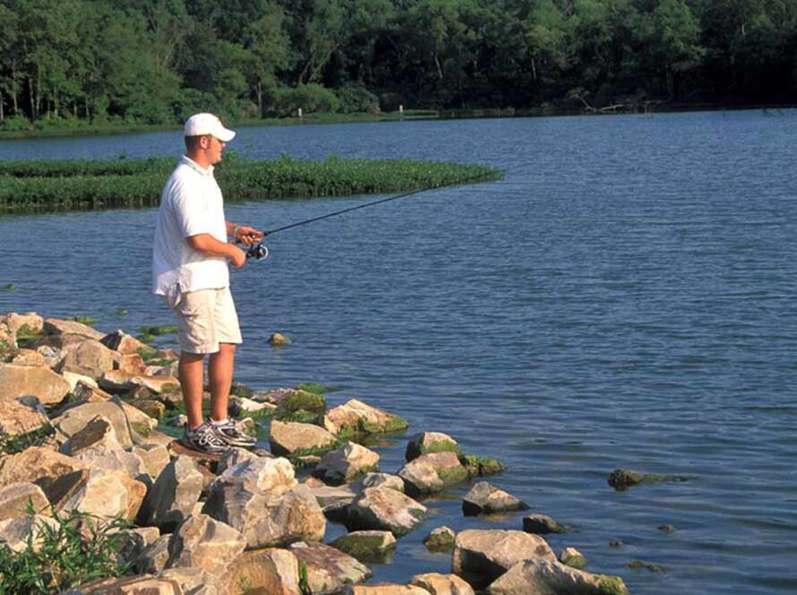 Outdoor Activities at Tranquil Lake Cove