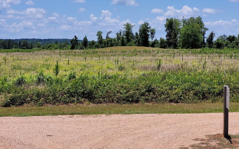 Nature and Wildlife at Caddo Mounds State Historic Site