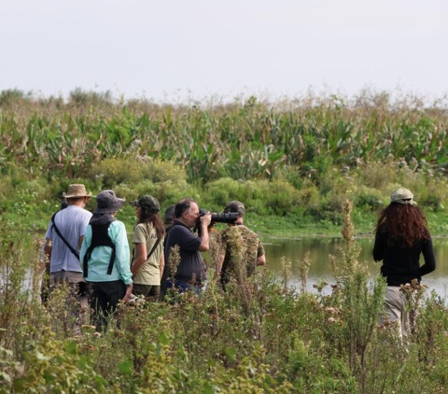 EMBRACE THE COMMUNITY CONNECTION THROUGH BIRDWATCHING AT TRANQUIL LAKE COVE