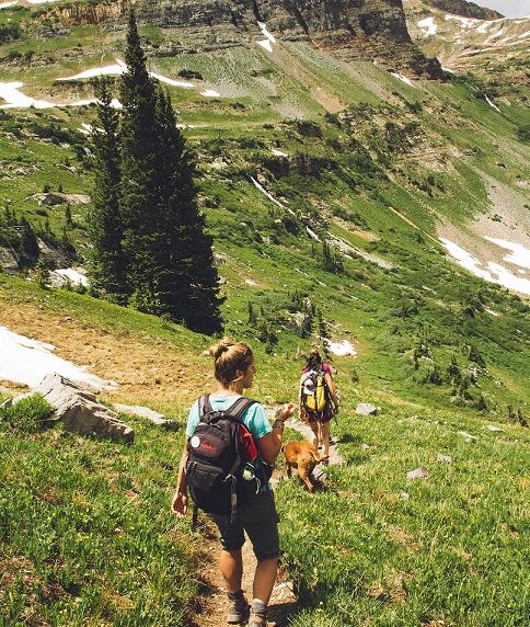 exploration journey at Tranquil Lake Cove; Trail Features