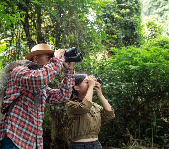 Furthermore, nearby state parks provide another superb venue for birdwatching