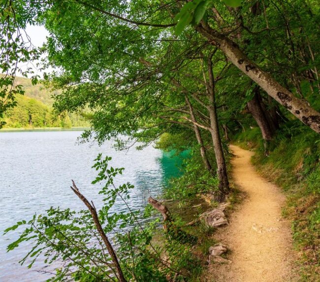 trails along the tawakoni lake