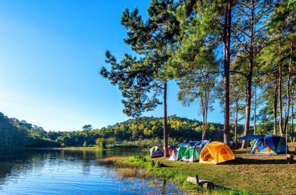 Camping and Lodging