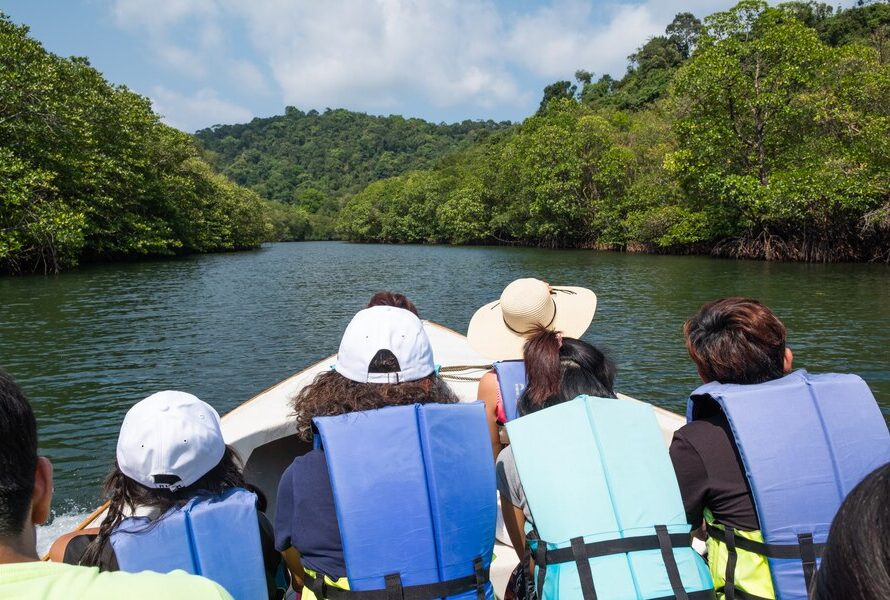 EQUIPMENT FOR AN UNFORGETTABLE EXPERIENCE IN THE LAKE'S TRANQUIL COVE