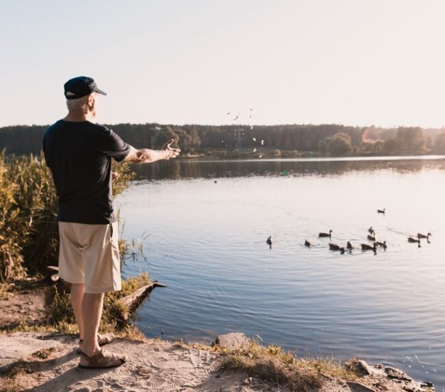 wildlife viewing at tawakoni lake