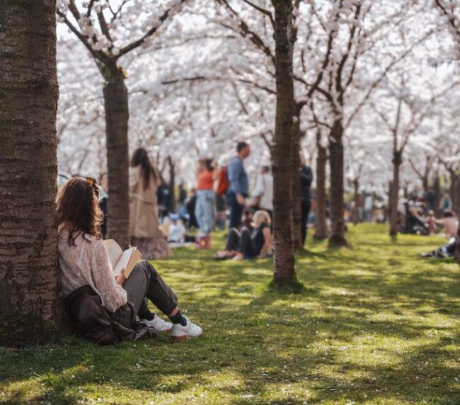 Community Gatherings in a Natural Setting at Wind Point Park