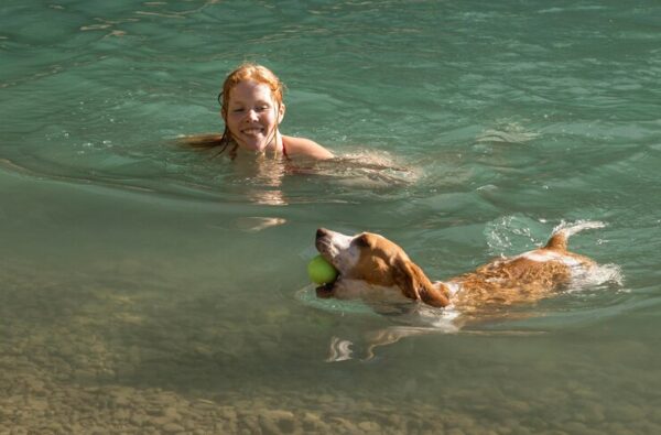 Swimming in Crystal Clear Waters in Lake Tawakoni, Activities near Wind Point Park