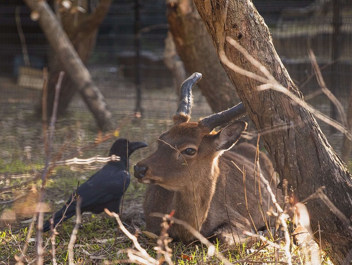 NATURE AND WILDLIFE AT WIND POINT PARK